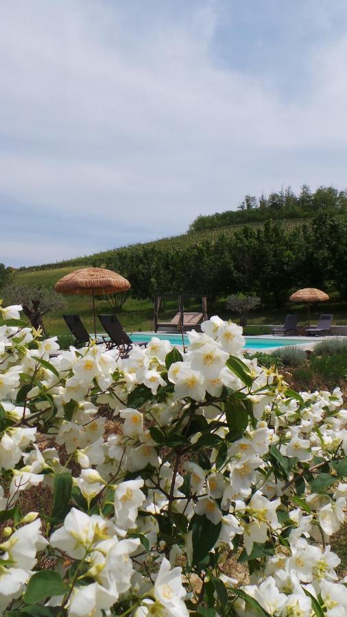 Sotto La Vigna Charm Stay Adults Only Vacation Suite Montegrosso d'Asti Екстер'єр фото