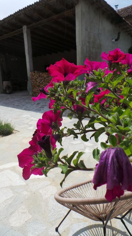 Sotto La Vigna Charm Stay Adults Only Vacation Suite Montegrosso d'Asti Екстер'єр фото